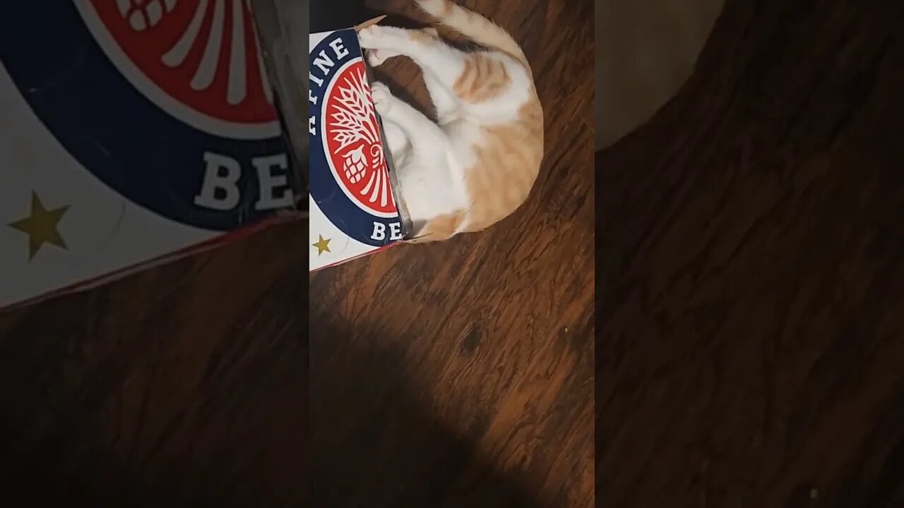 when you're out of beer and you want more