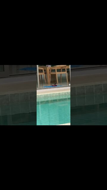 Bird stealing food. 😤