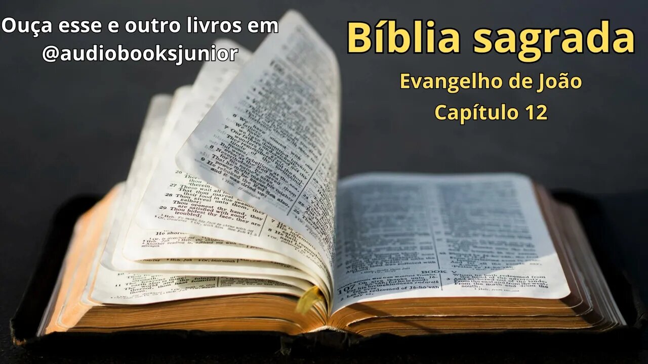 Bíblia Sagrada - Evangelho de João - Capítulo 12