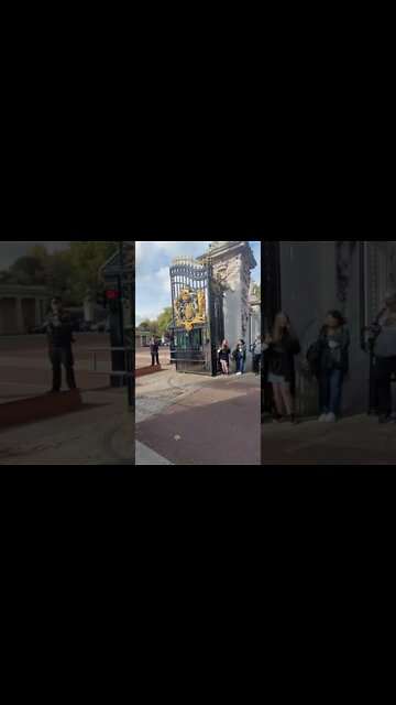 A lone kings guard walking in to Buckingham Palace Buckingham Palace #buckinghampalace