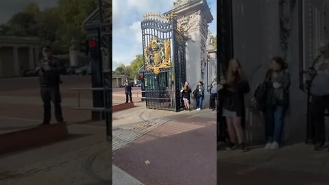 A lone kings guard walking in to Buckingham Palace Buckingham Palace #buckinghampalace