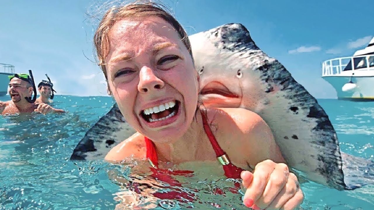 15 Friendliest Sea Creatures Around The World