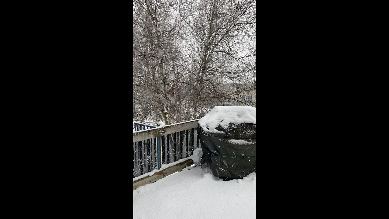 Snowfall Winter 2020 Geneva Home