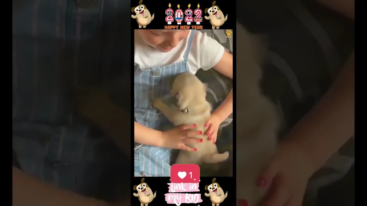 26_ππΆπ Baby Dogs - Cute and Funny Dogs Video ππΆπ (2022)