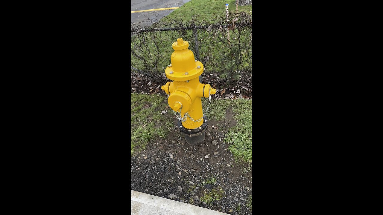 Yung Alone And Fire Hydrants (Compilation)