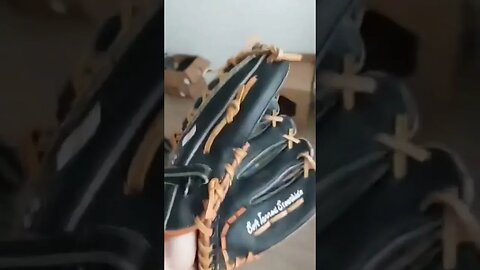 Would You pay that for this baseball glove?