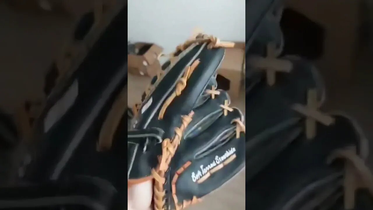 Would You pay that for this baseball glove?