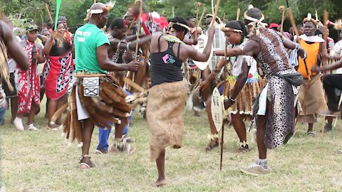 SOUTH AFRICA - Durban - Umthayi marula festival video's batch 5 (zAM)