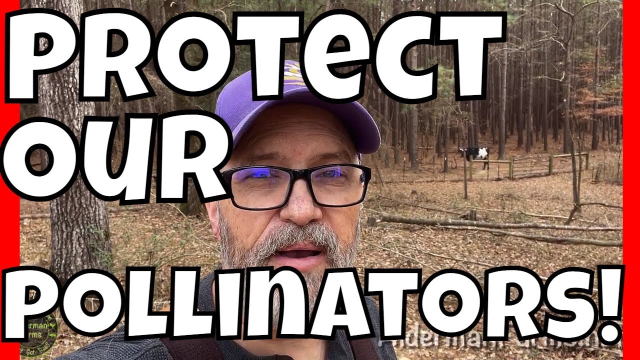 Protect Our Pollinators Part 6 | Affecting BIG Change for Pollinators | AldermanFarms