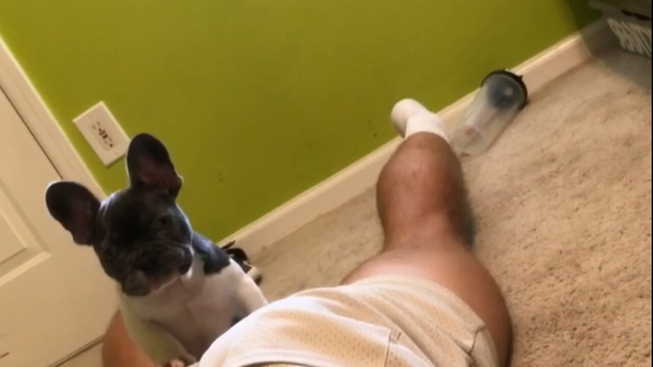 Baby juice likes chewing butt