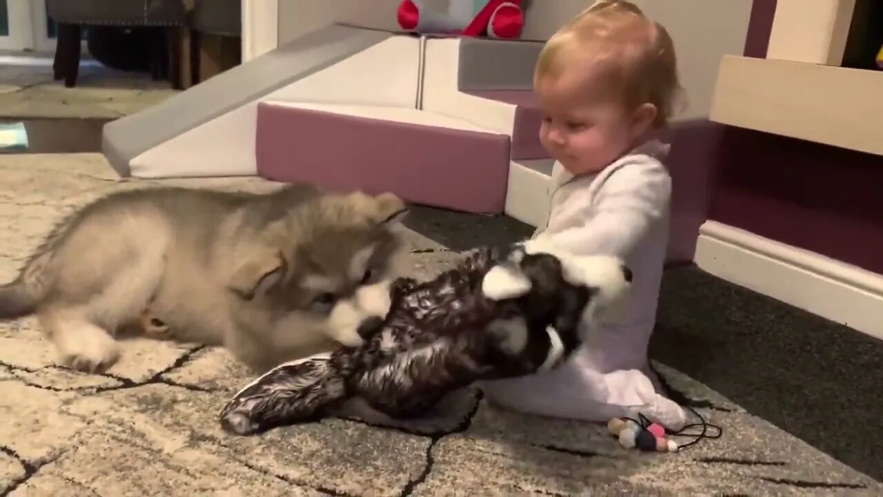 Baby And Puppy Growing Up Together!