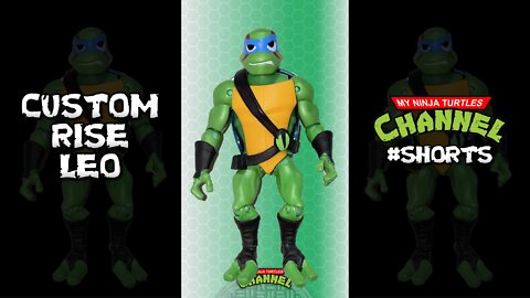 Custom Rise of the TMNT Movie Leonardo Action Figure w Black Bandanas