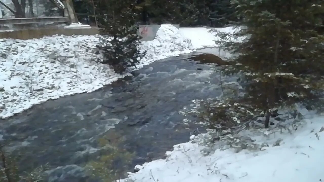 Location, location, location! The silence of the brook. An organised walk tale #watersounds #hiking