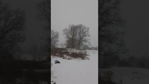 Snowing in My Hood