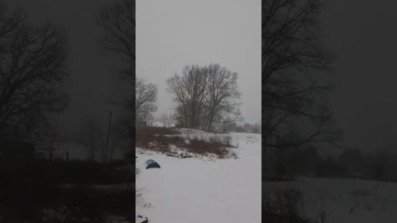 Snowing in My Hood
