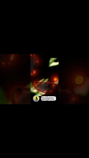 SOCOM US NAVY SEALS, REVIEW #socomusnavyseals #review #playstation2