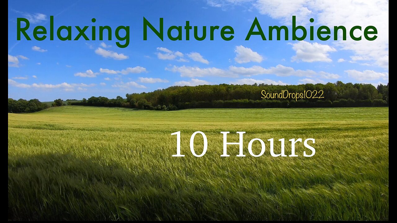 10 Hours of Nature’s Embrace: Relaxing Meadow