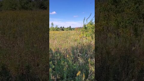 beautiful prairie
