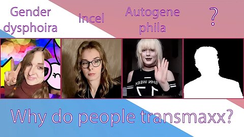 The 4 different types of transmaxxer
