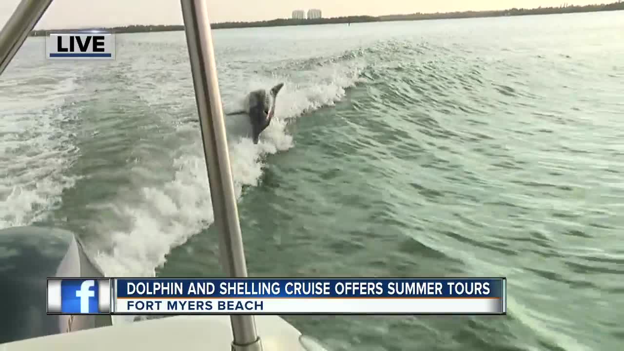 Island Time Dolphin and Shelling Cruises run private tours near Fort Myers Beach