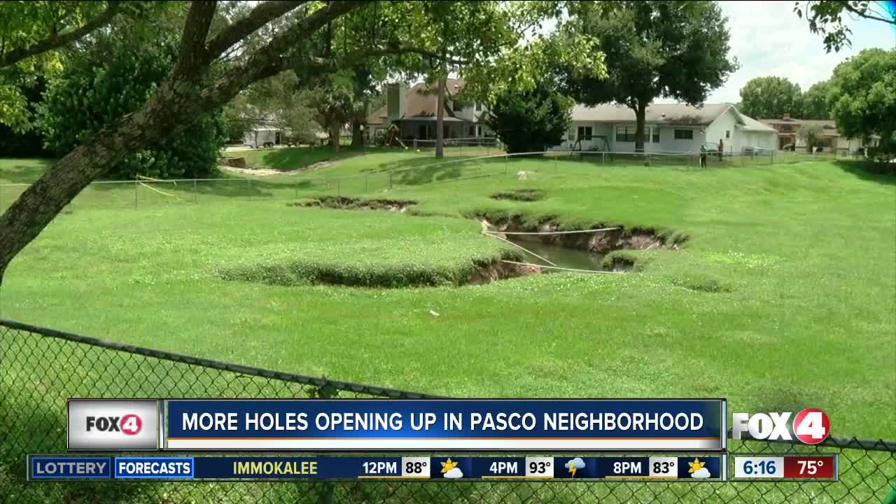 4 additional holes open up in Pasco County neighborhood, now 20 total