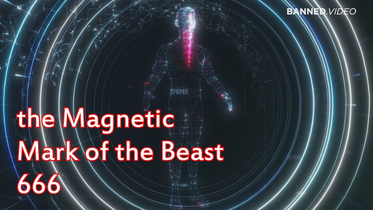 The Magnetic Mark