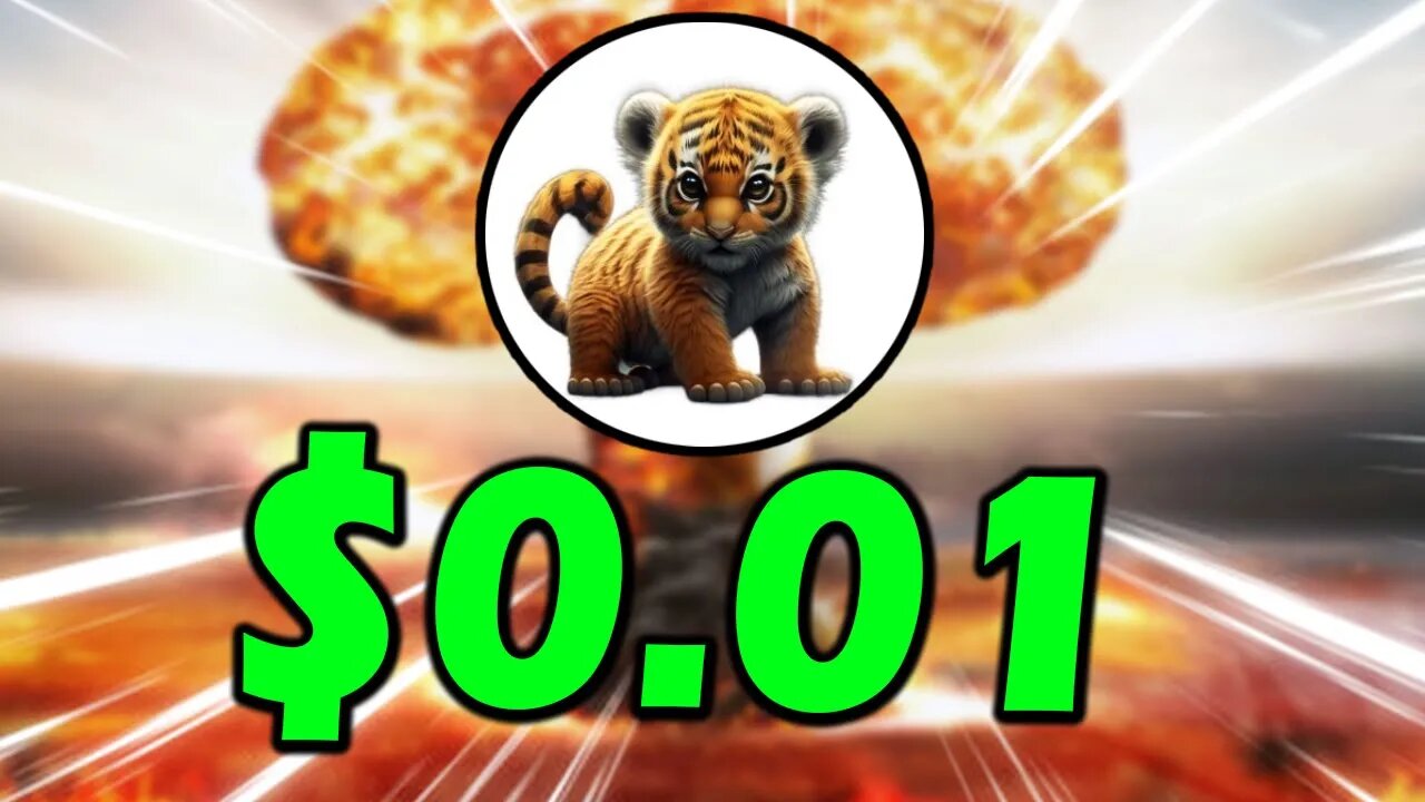 BabyBNBTiger $0.01 PRICE TARGET!! BabyBNBTiger WILL BE LIFE CHANGING!!