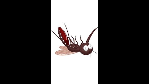 Anopheles