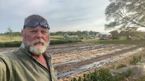 Wednesday Night Homestead Q&A