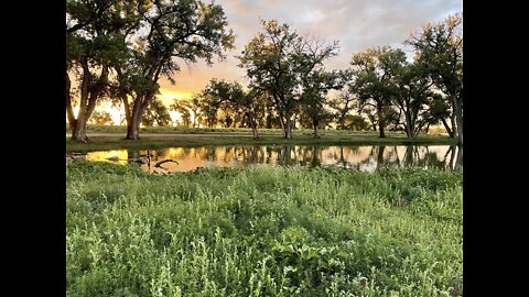 Brush Colorado Prewitt Reservoir June 2021