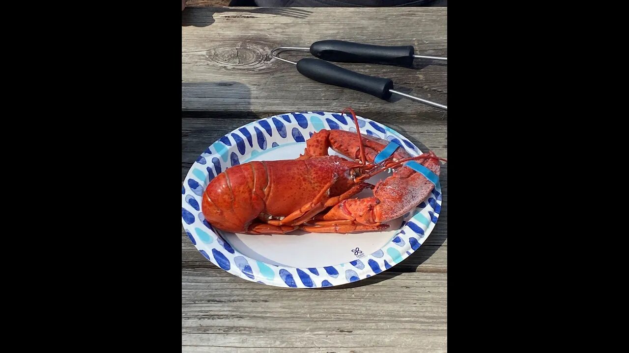 Lobster in the RV Outside Kitchen : Kelley's Outdoor Adventures and RVdrifters