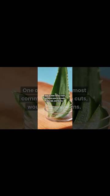 Aloe Vera Gel Can Do Wonders For Your Skin