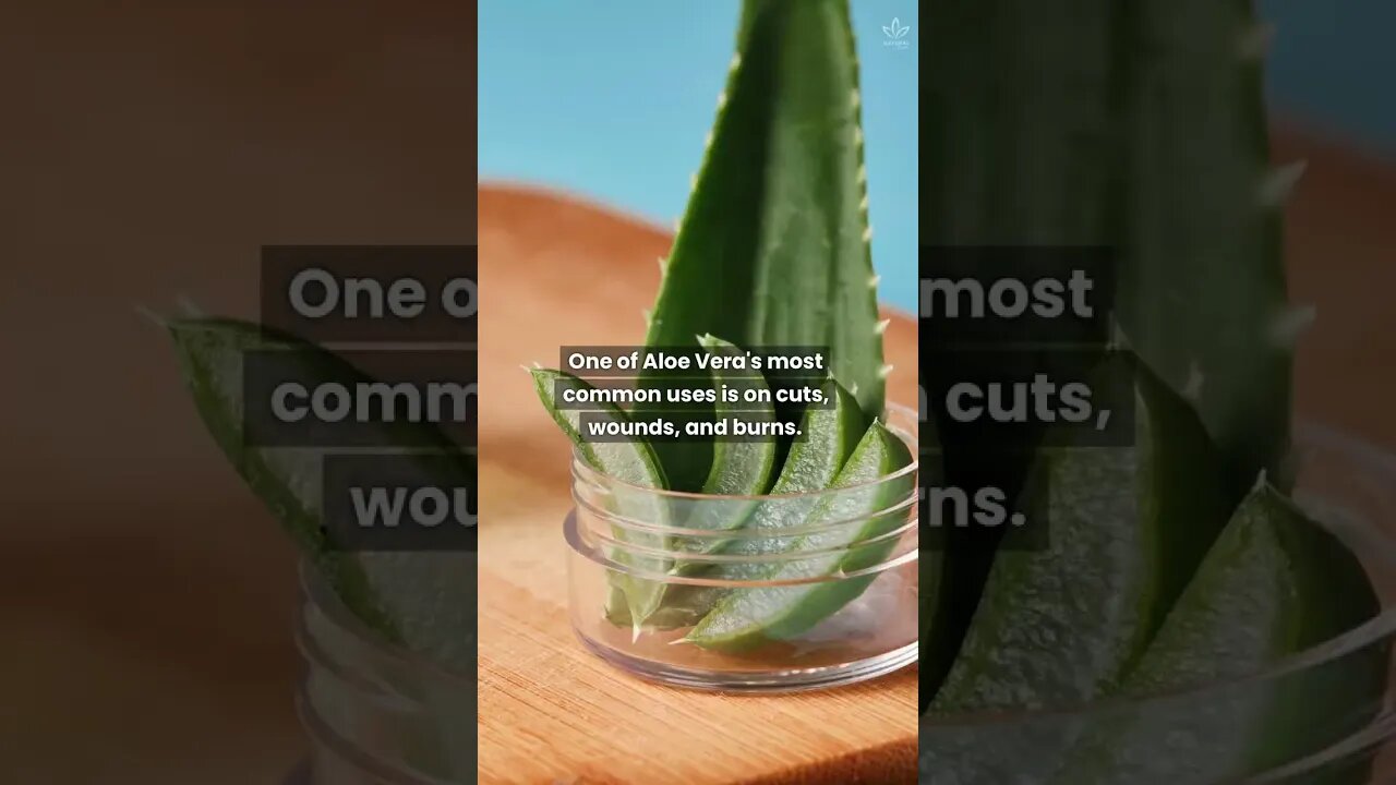 Aloe Vera Gel Can Do Wonders For Your Skin