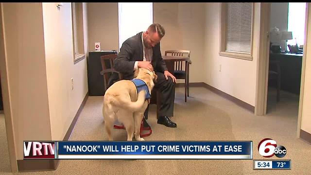 Johnson County Prosecutor’s Office gets service dog to provide emotional support to victims