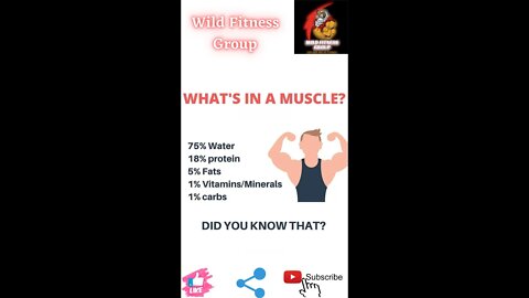 🔥What's in a muscle🔥#fitness🔥#wildfitnessgroup🔥#shorts🔥