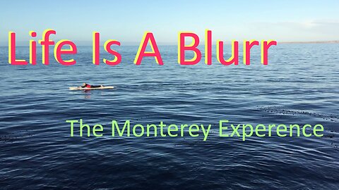 The Monterey Experience