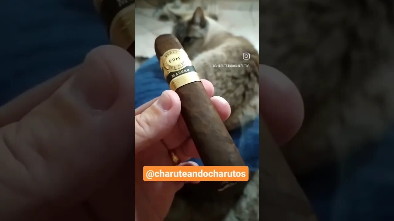 CHARUTEANDO CHARUTOS - PDM MADURO