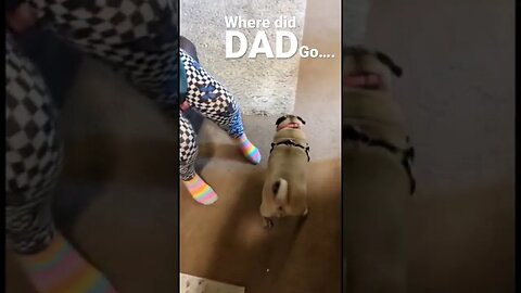 Where did dad go