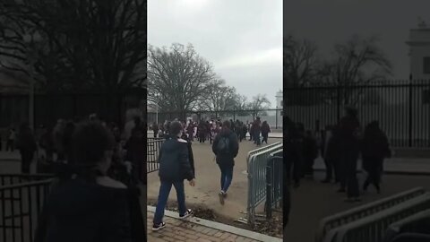 2/17/22 Nancy Drew in DC- Video 4- CASA Immigration Protest in Front of WH- Distraction?