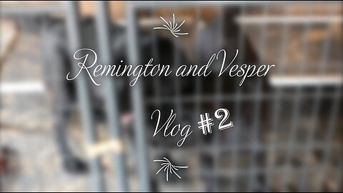 Remington and Vesper #2!!!