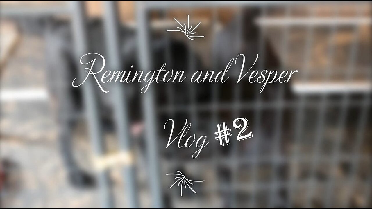 Remington and Vesper #2!!!