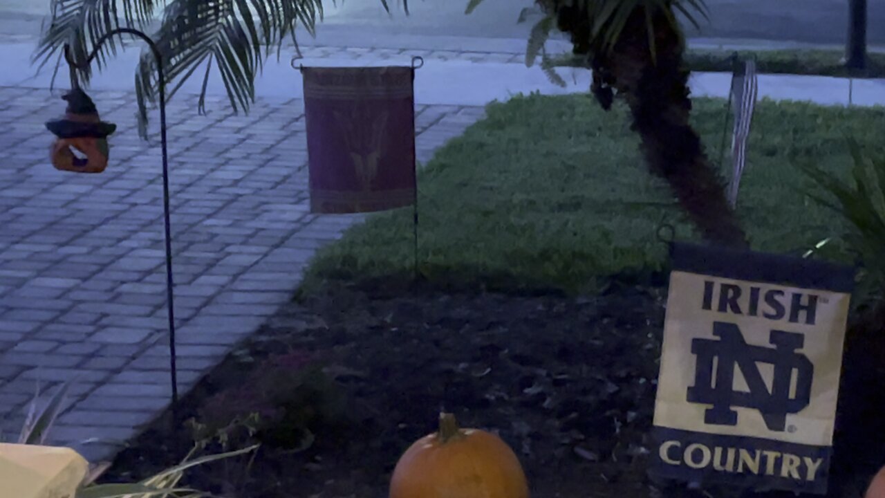 Happy Halloween 2021 Part 2- Estero, Florida- 4K