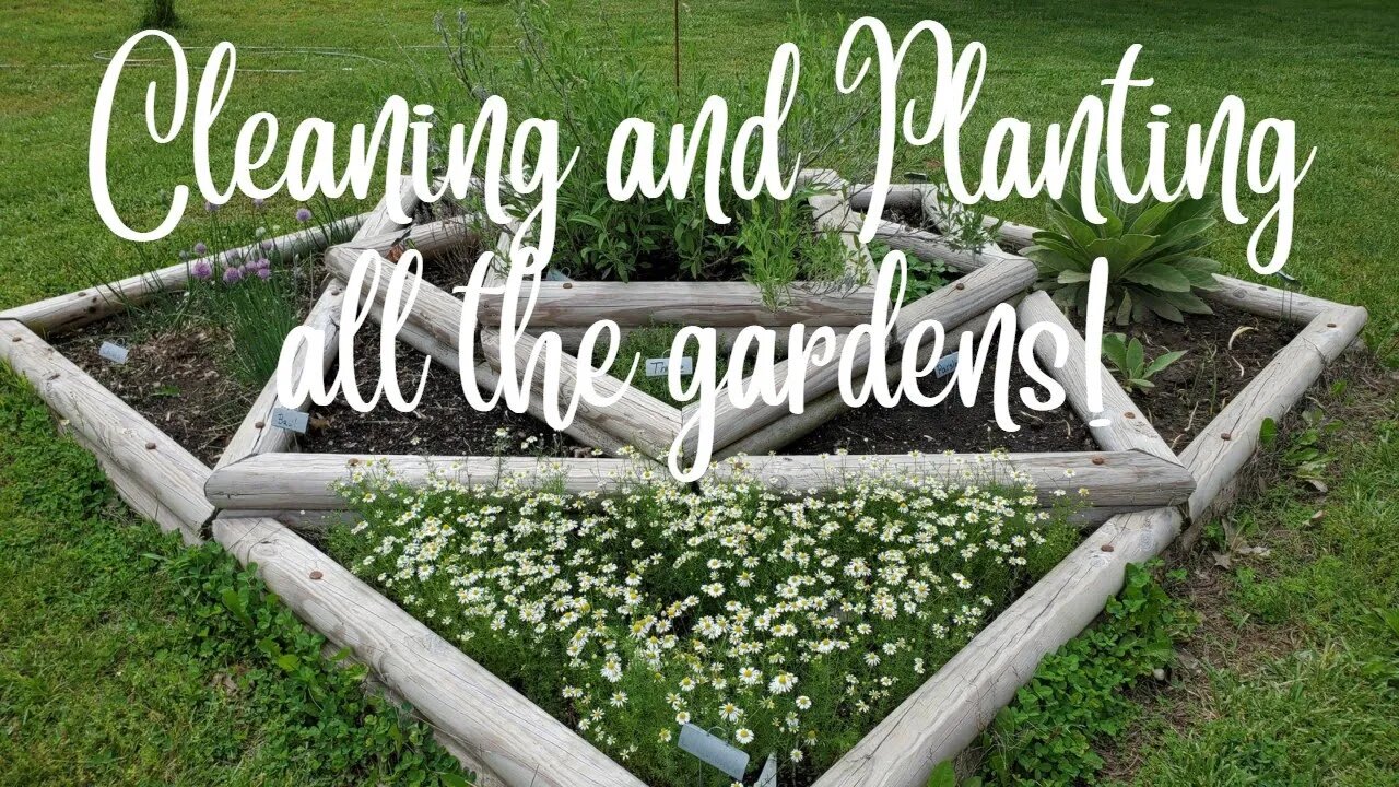 Cleaning and Planting the Gardens #herbs #vegetables #food