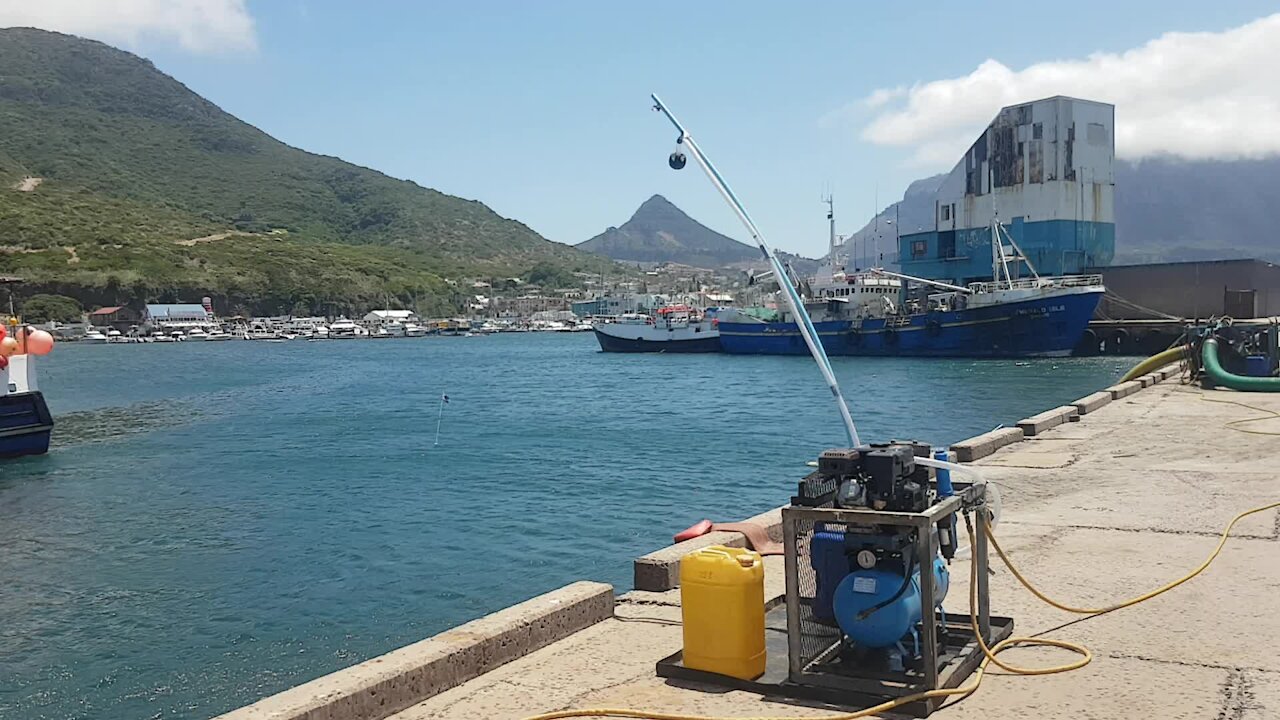 SOUTH AFRICA - Cape Town - Poachers turned commercial divers clean Hout Bay harbour (Video) (WAi)