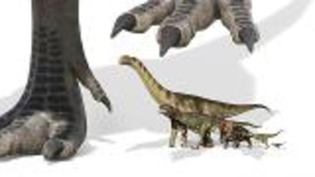 New Predator Dinosaur
