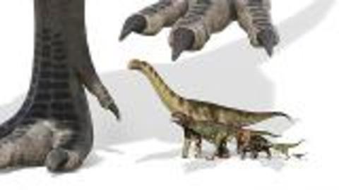 New Predator Dinosaur