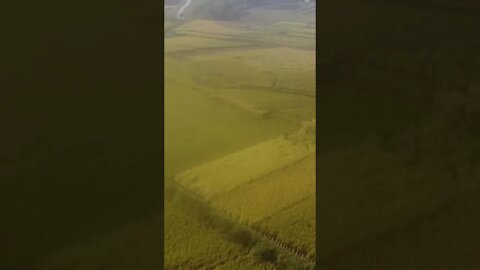 Aerial view Rice Harvest Nepal