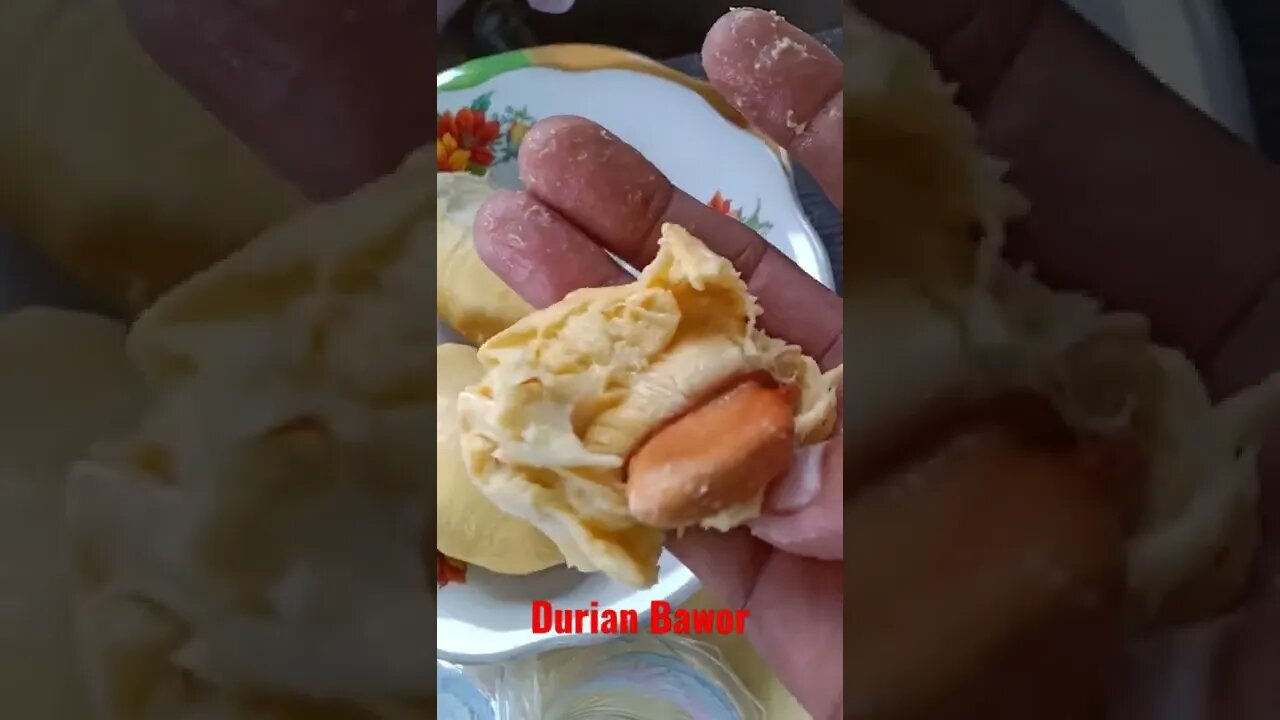 DURIAN BAWOR