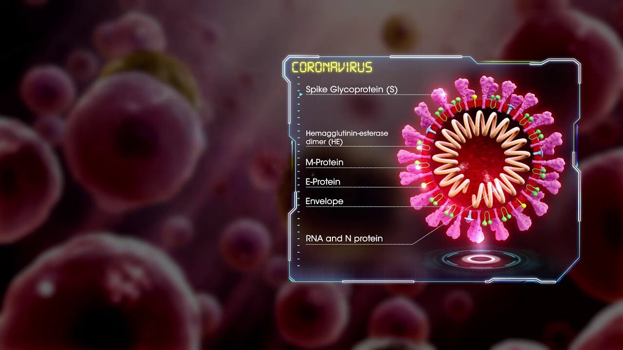 Medical Animation Coronavirus Structure