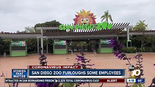 San Diego Zoo furloughs some employees